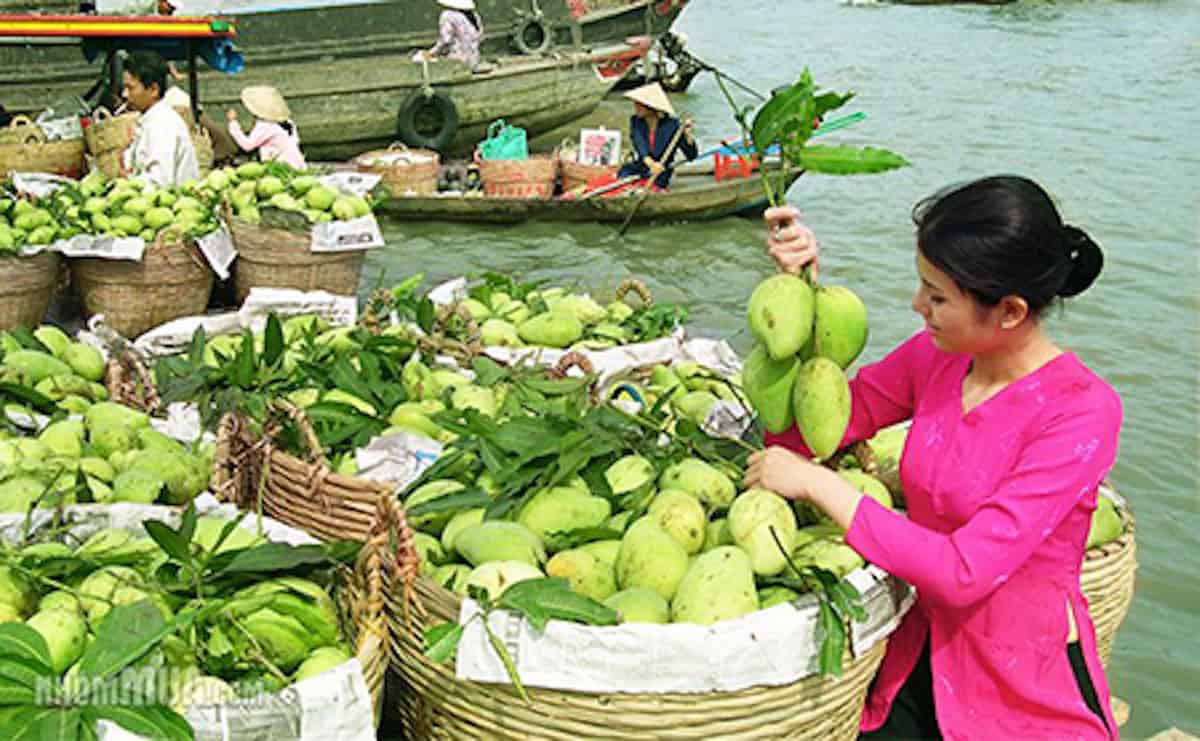 voyages au sud vietnam 2 - agence locale voyage Vietnam Laos Cambodge -Agenda Tour