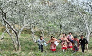 Quel est le mois le plus froid au Vietnam-Vietnam-Climat et saisons