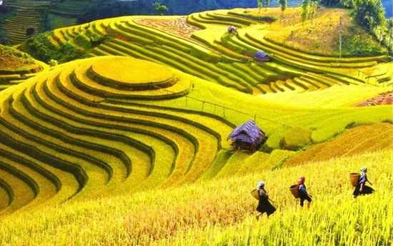 Voyages au vietnam en Septembre
