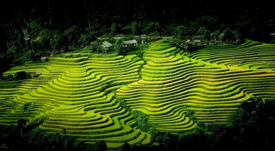 Agence locale Vietnam